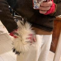 Polsi pelliccia volpe artica