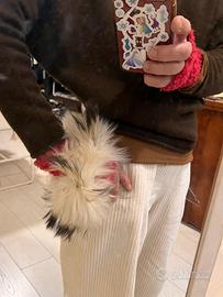 Polsi pelliccia volpe artica