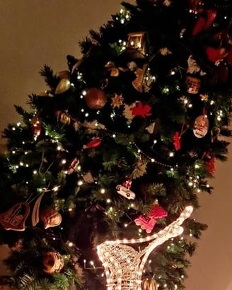 Renna luminosa Natale 