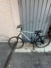 Bici montainbike