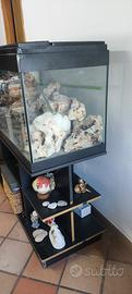 acquario 300 litri 