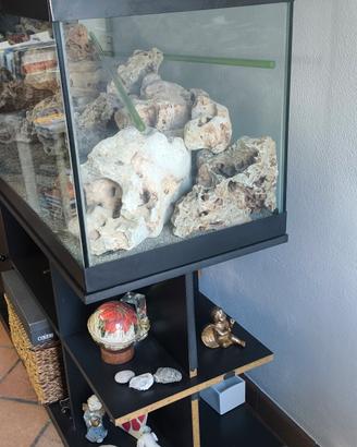 acquario 300 litri 