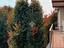 Immagine 20