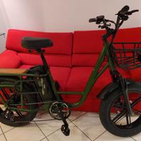 Bicicletta elettrica FIIDO T1 