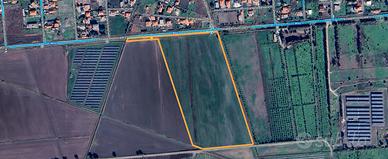 Terreno agricolo - 70.000mq - (7 ettari) -