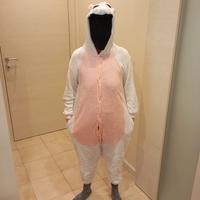 pigiama o vestito carnevale 