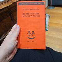 Il mio cuore messo a nudo