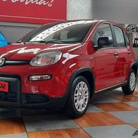 FIAT Panda 1.0 FireFly S&S Hybrid Pop PANDINA...