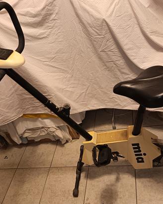 Cyclette Rizzato Afffare!