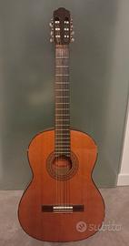 Chitarra Clariss P-37