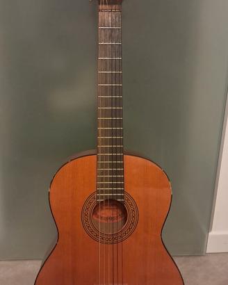 Chitarra Clariss P-37