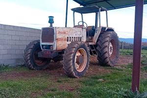 Trattore agricolo lamborghini