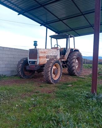 Trattore agricolo lamborghini