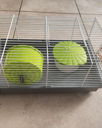gabbia per criceti 