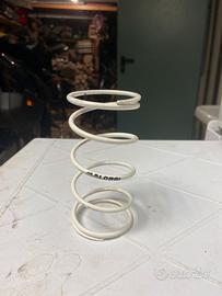 Kit multivar malossi