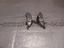 Immagine 27