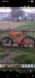 Mountain bike