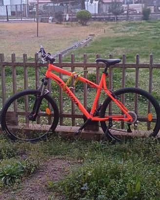 Mountain bike