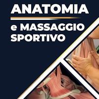 Libro anatomia e massaggio sportivo