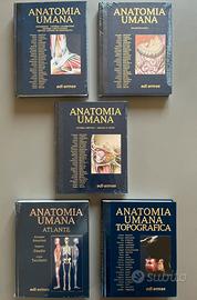 ANATOMY BAG PLUS: 5 volumi + zaino