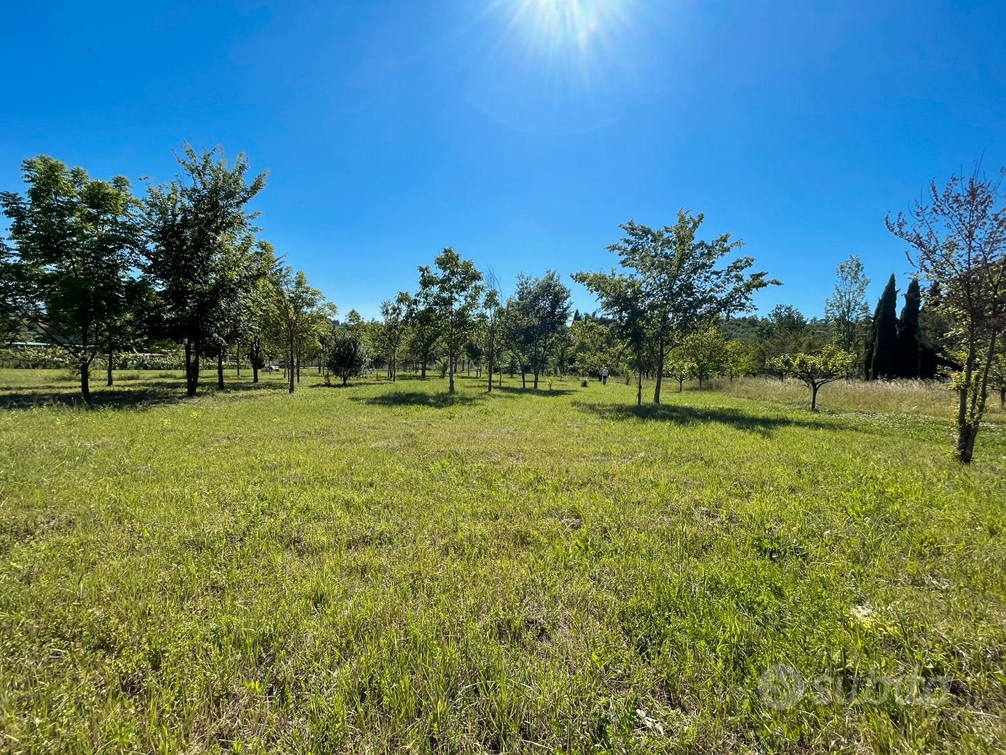 Terreno agricolo santaquilina - Vista 5