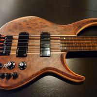 Basso Fretless Custom by TGD (Jim Reed BE-5)