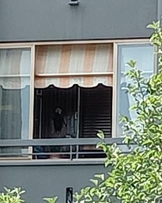 veranda completa con vetri antisfondamento