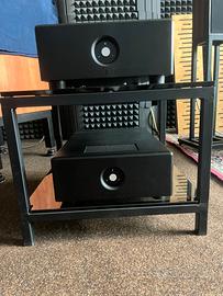 Coppia finali mono classe D Rogue  Audio Dragon
