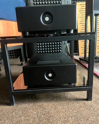 Coppia finali mono classe D Rogue  Audio Dragon