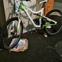 specialized