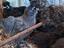 Immagine 2