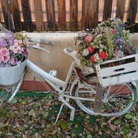 bicicletta vintage 