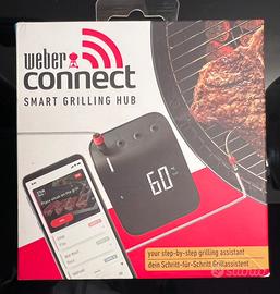 Weber connect smart grilling hub
