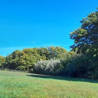 Terreno Agricolo Manziana [TE149VRG]