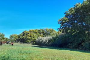 Terreno Agricolo Manziana [TE149VRG]
