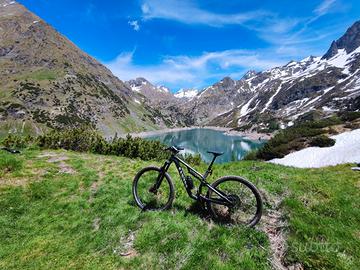 MTB CANYON NEURON 7 taglia L