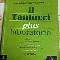 il tantucci plus 2 laboratorio 