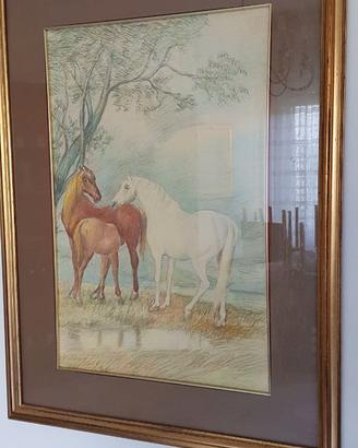 QUADRO CAVALLI