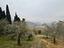 Immagine 12