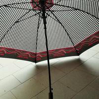 Ombrello da donna automatico "Pierre Cardin"