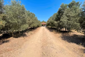 Villa in campagna