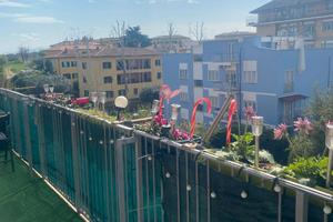 Trilocale bufalotta Piazza Monte gennaro