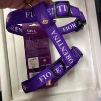 Guinzaglio fiorentina