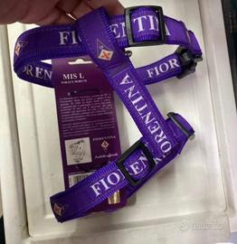 Guinzaglio fiorentina