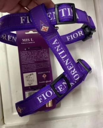 Guinzaglio fiorentina