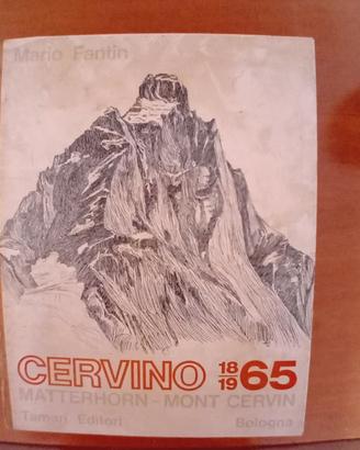 Libro Cervino