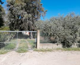 Terreno edificabile zona C2ru Sa Rodia Oristano