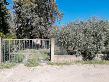 Terreno edificabile zona C2ru Sa Rodia Oristano