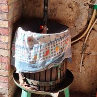 torchio per vendemmiare 