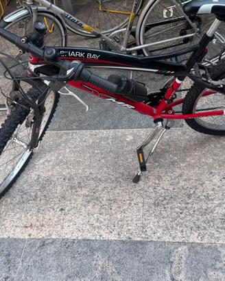 MTB RAGAZZO COME NUOVA